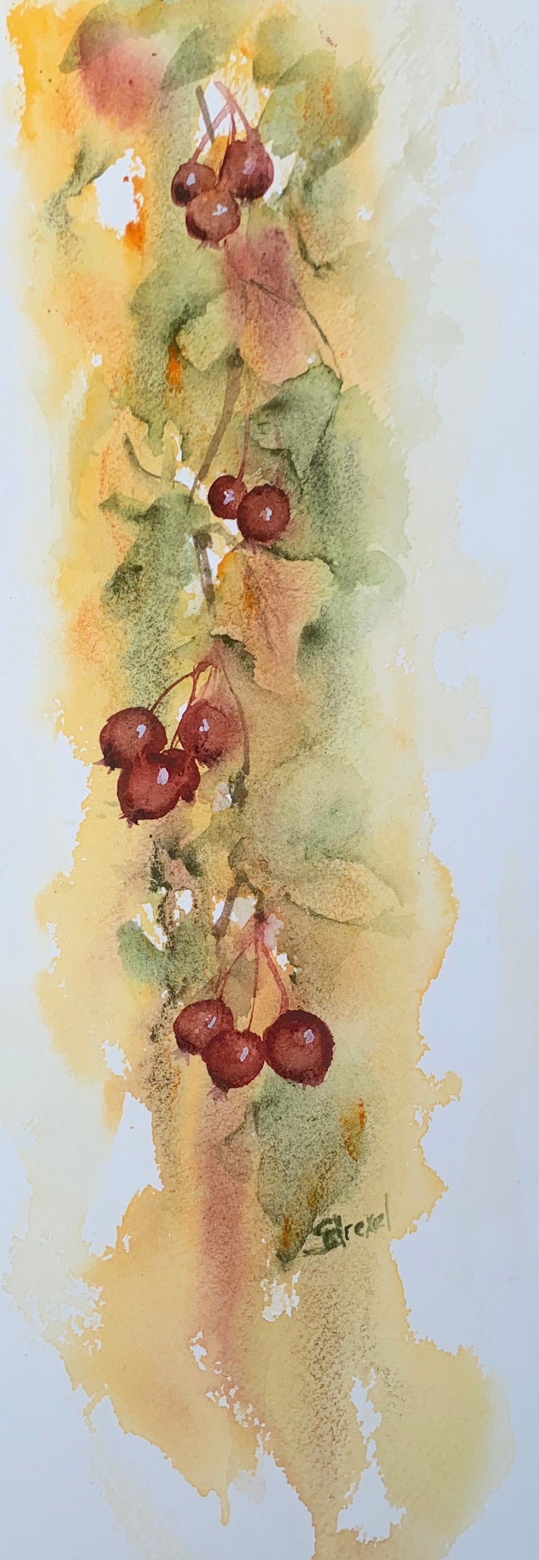 Hawthorne Berries in the Fall