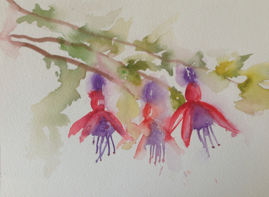 Fuchsia