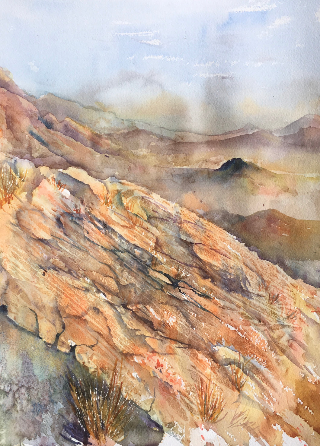 Desert Landscape