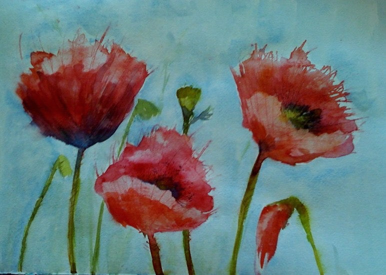 Fresh Poppies