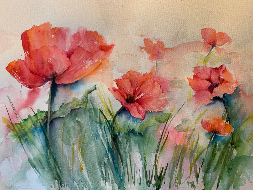Spring Poppies