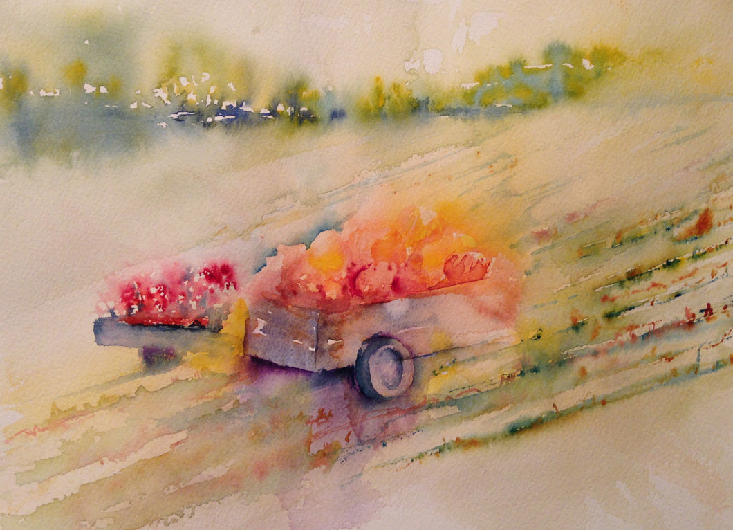Harvest Time