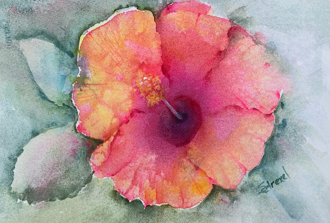 Hibiscus Flower