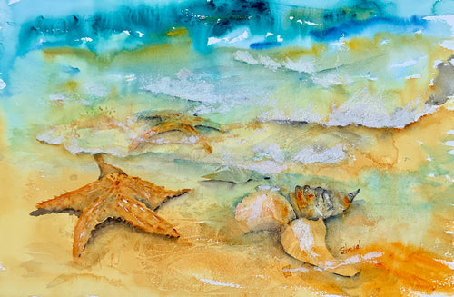 Sea Shells at the Sea Shore, Framed Art