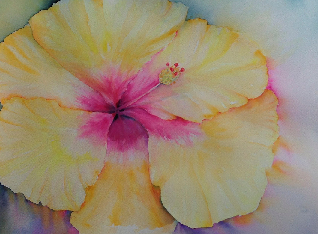Loose Hibiscus