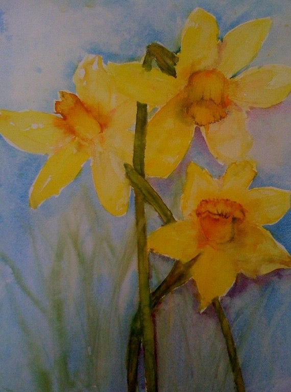 3 Daffodils