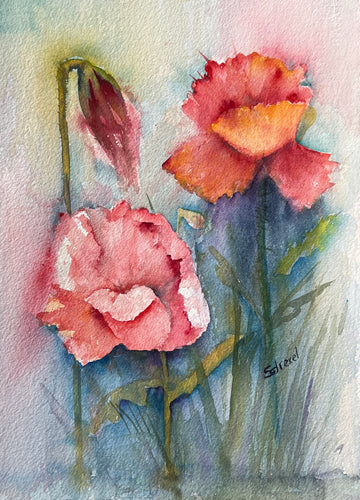 Poppies Forever