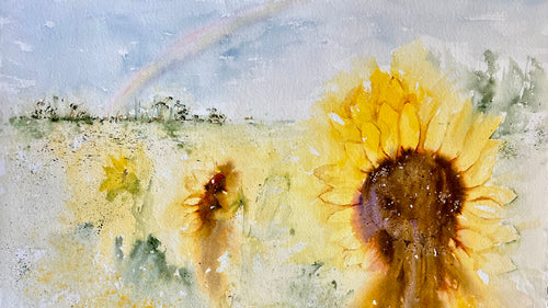 Sunflowers Under The Rainbow