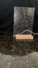 Spider in a Web Panel with LED Light Stand