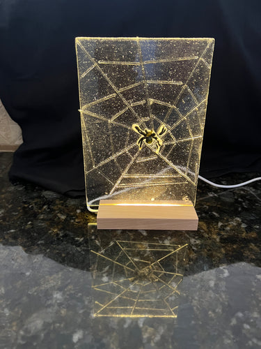 Spider in a Web Panel with LED Light Stand