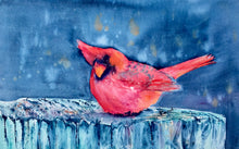 Cardinal, Baby It's Cold Outside