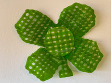 Shamrock with an Open Weave