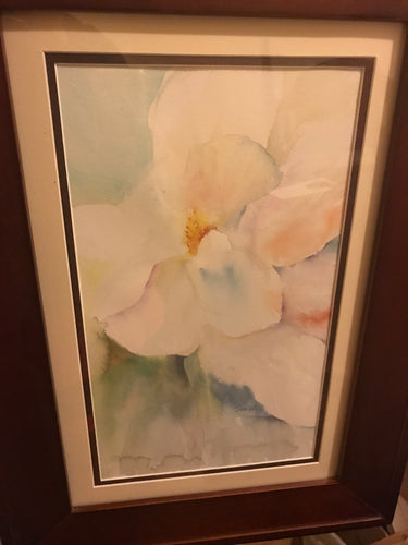 Magnolia, Framed Art