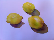 Watercolor Fruit Trio - SOLD
